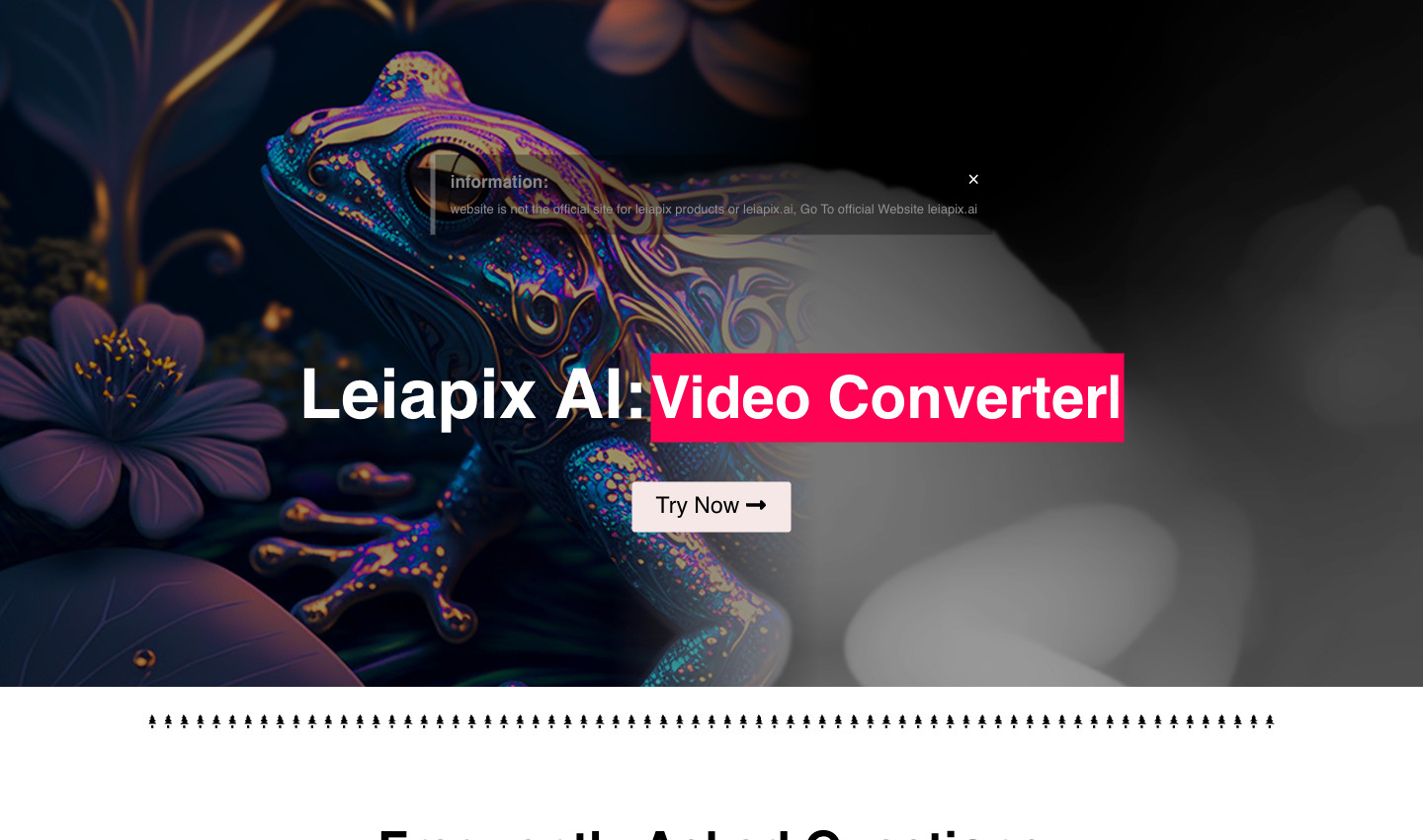 LeiaPix AI