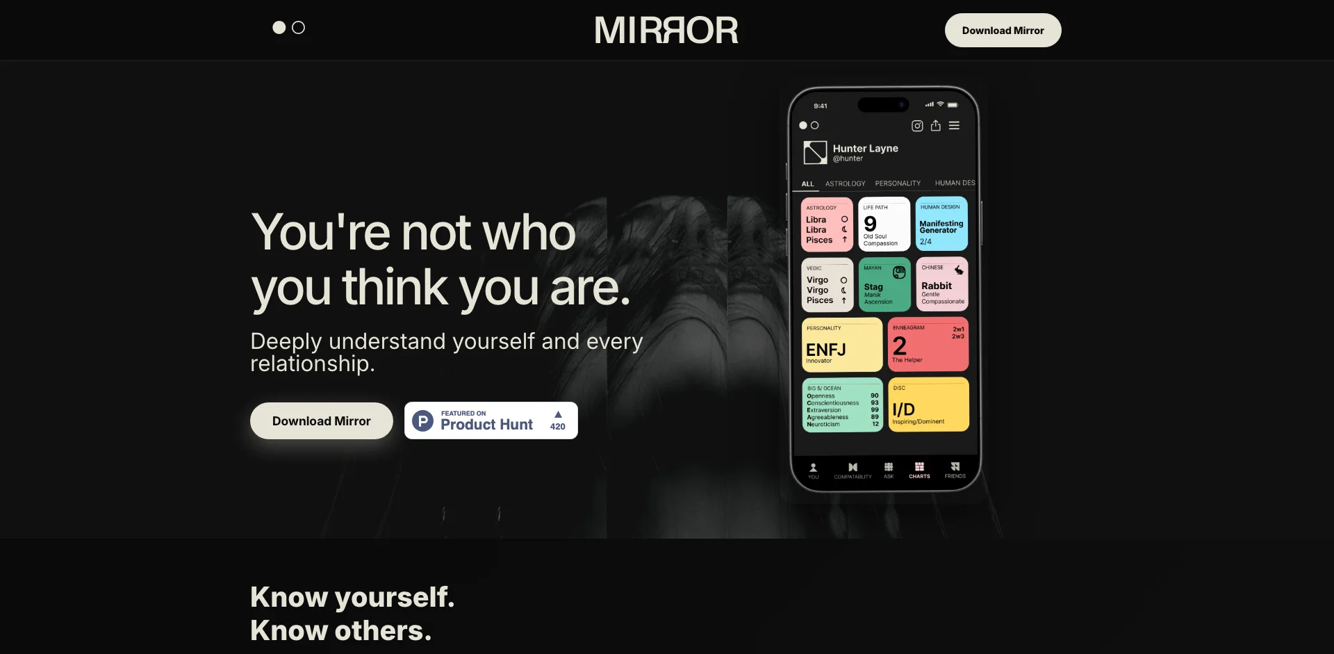 Mirror