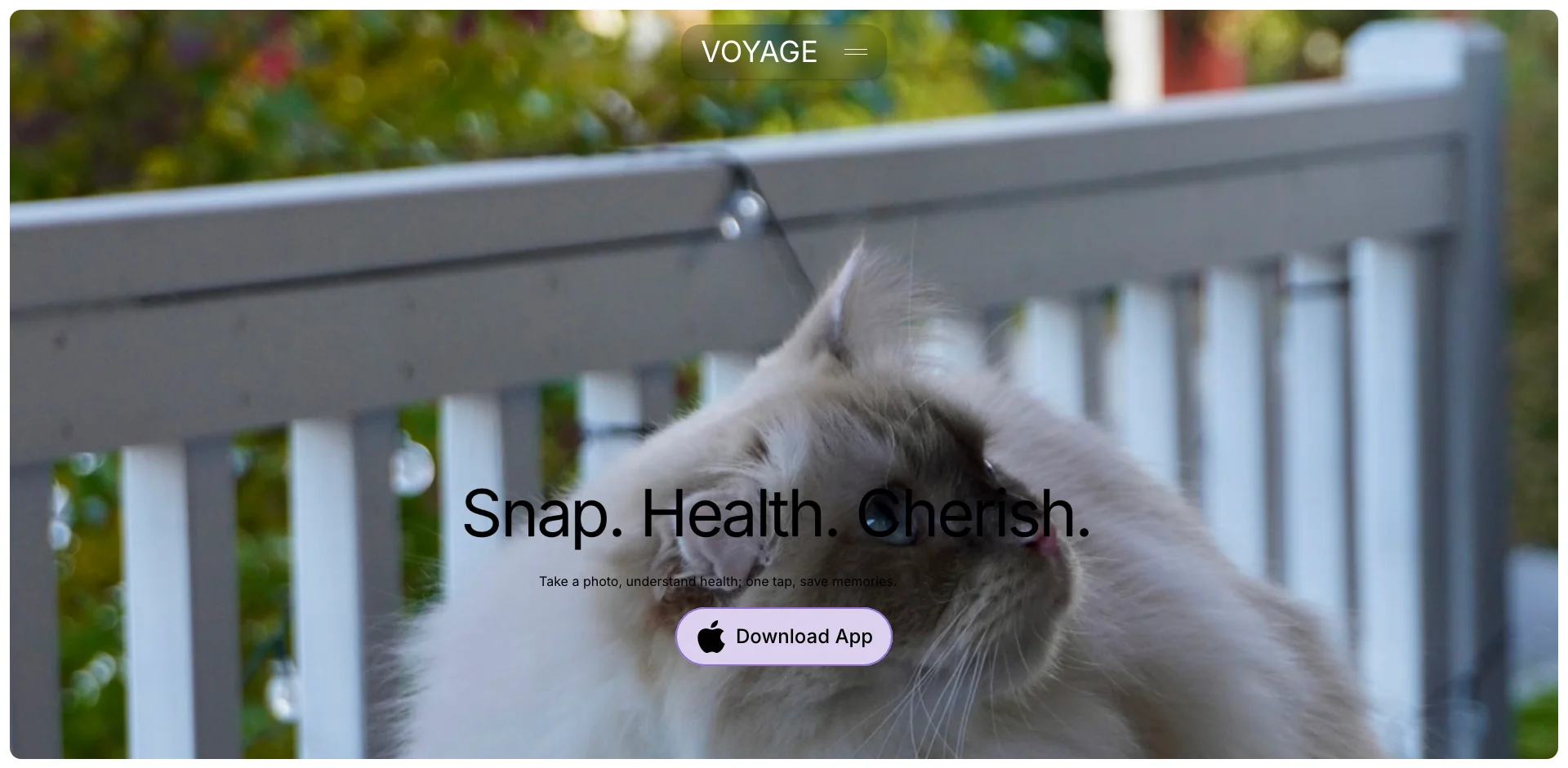 Voyage Pet AI 